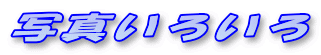 ʐ^낢